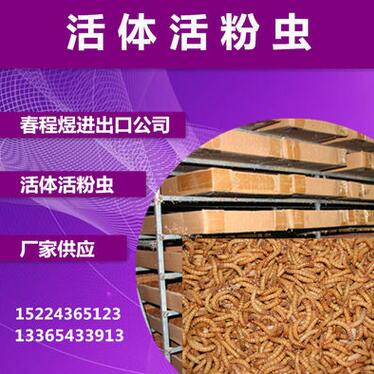 QQ截图20170516142128