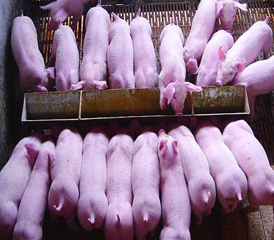 QQ截图20170816144654