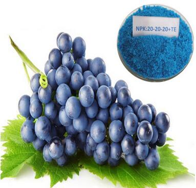 QQ截图20170830154024