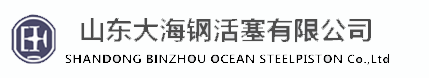 山东滨州大海钢活塞有限公司