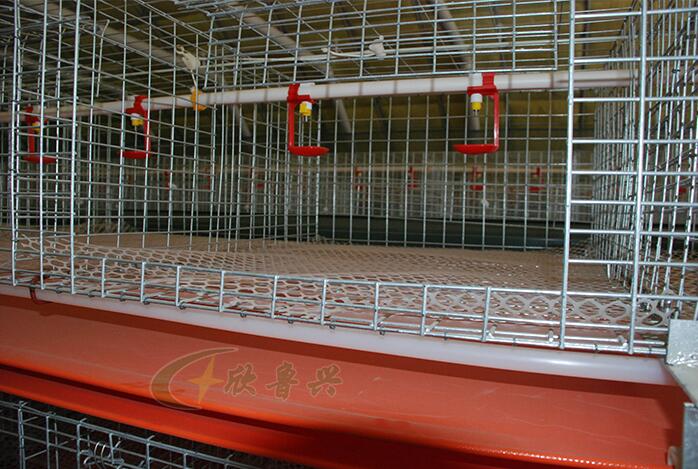 QQ截图20180305155618