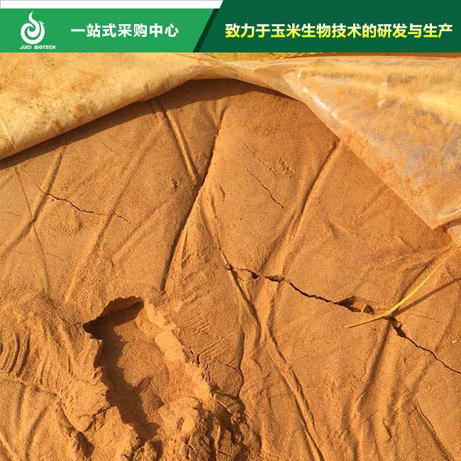 微信图片_20190214112747