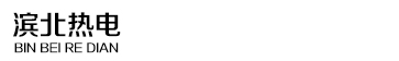 山东滨州滨北热电有限公司