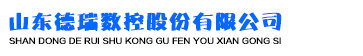 山东德瑞数控股份有限公司  