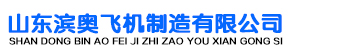 山东滨奥飞机制造有限公司